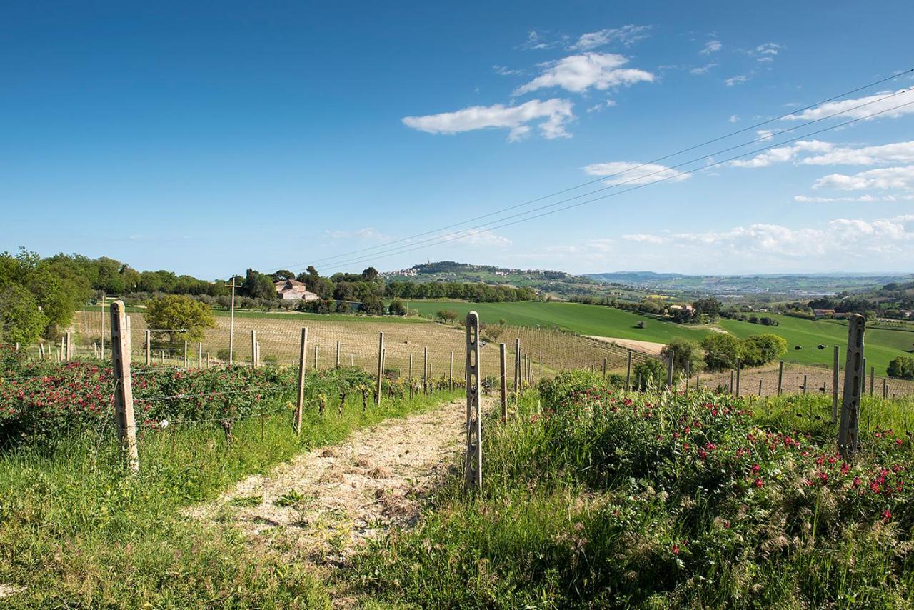 A11 - Varano, Delizioso Trilocale Con Giardino Ancona Exterior foto